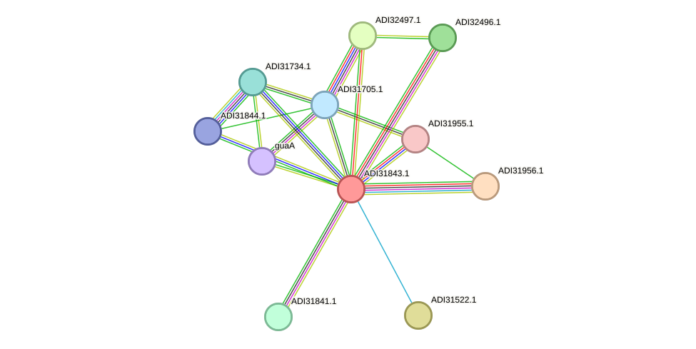 STRING protein interaction network
