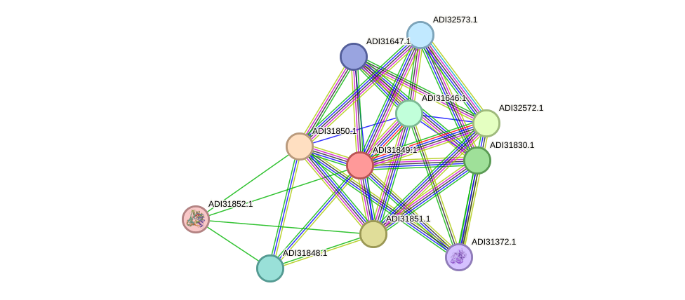 STRING protein interaction network