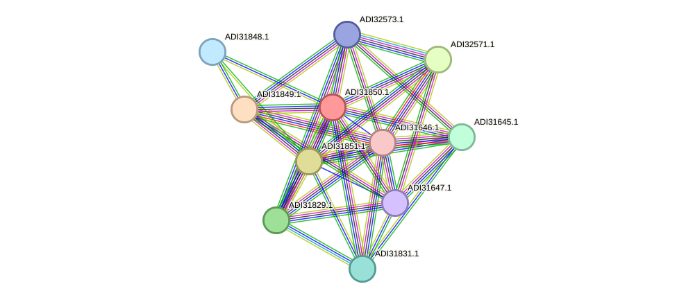 STRING protein interaction network