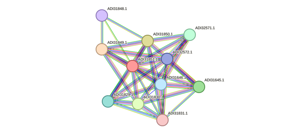 STRING protein interaction network