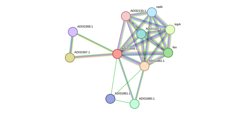 STRING protein interaction network