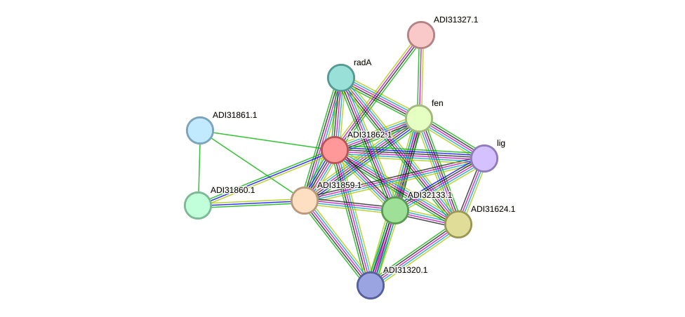 STRING protein interaction network
