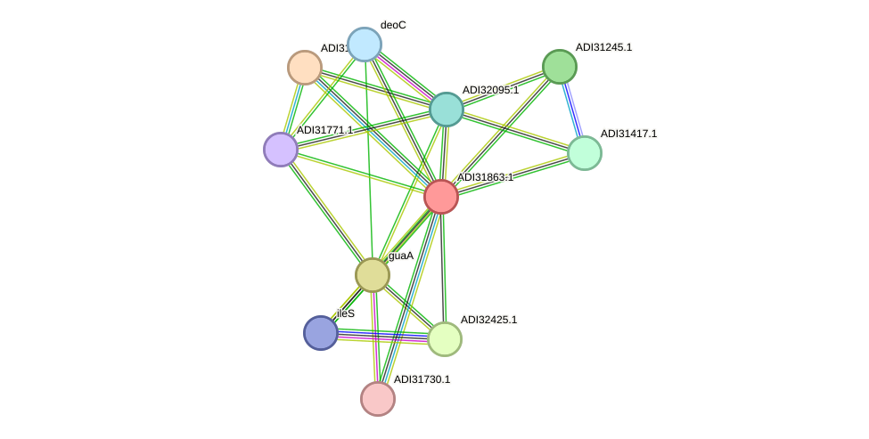 STRING protein interaction network