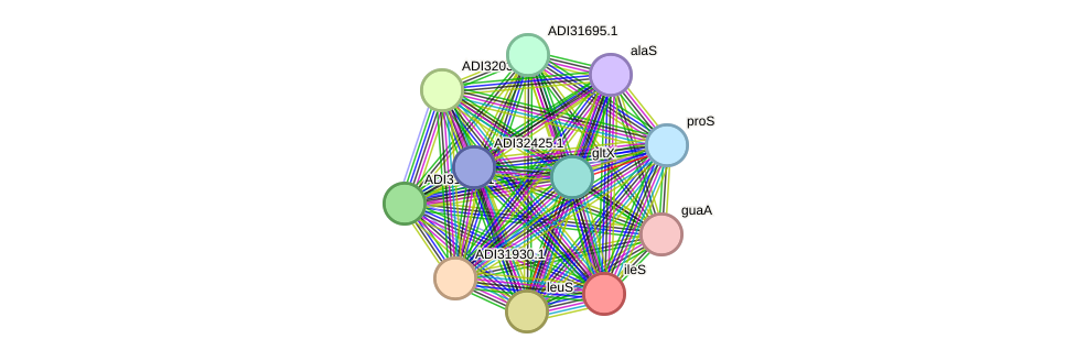 STRING protein interaction network