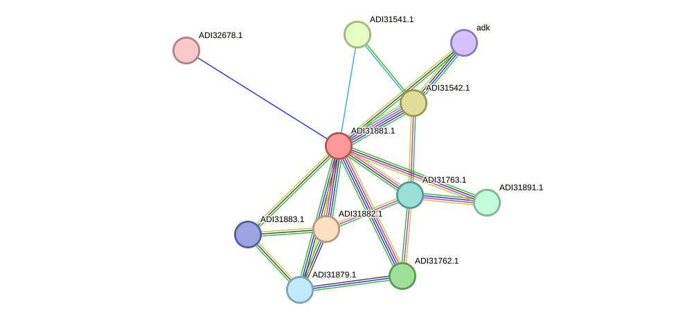 STRING protein interaction network