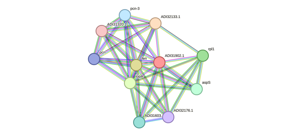 STRING protein interaction network