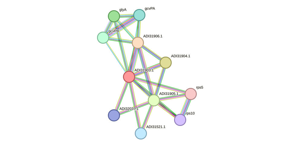 STRING protein interaction network