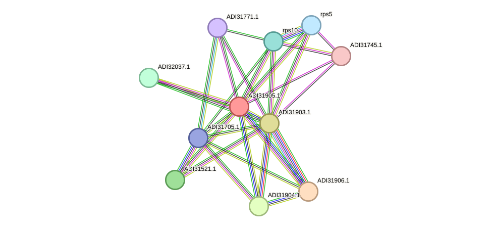 STRING protein interaction network