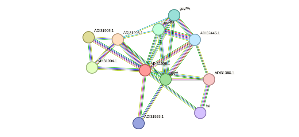 STRING protein interaction network