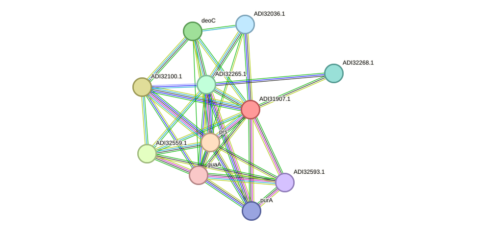 STRING protein interaction network