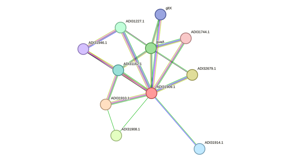 STRING protein interaction network
