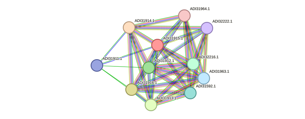 STRING protein interaction network