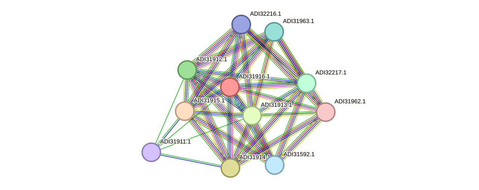STRING protein interaction network