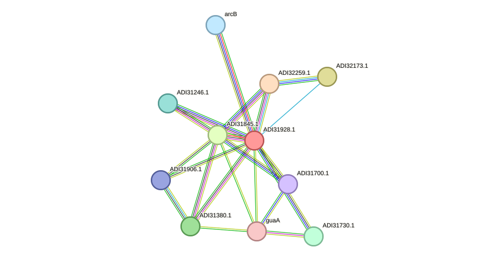 STRING protein interaction network