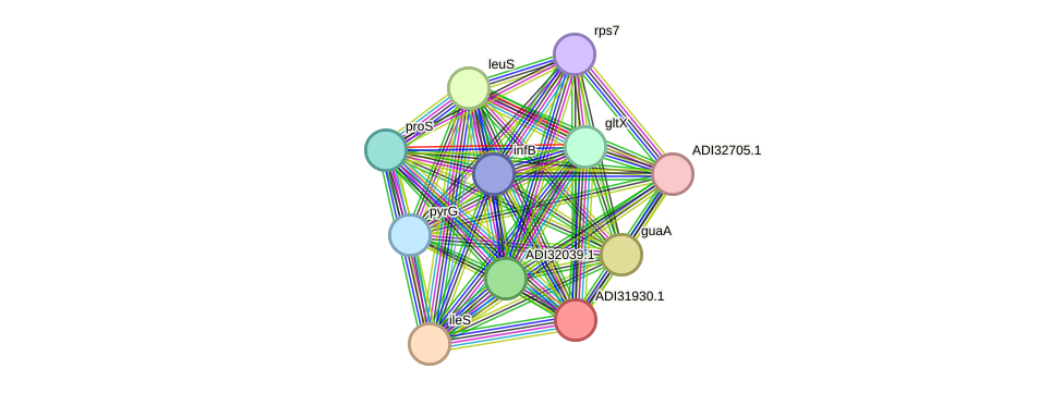 STRING protein interaction network
