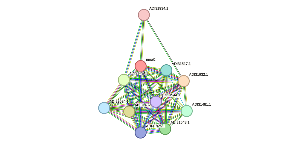 STRING protein interaction network