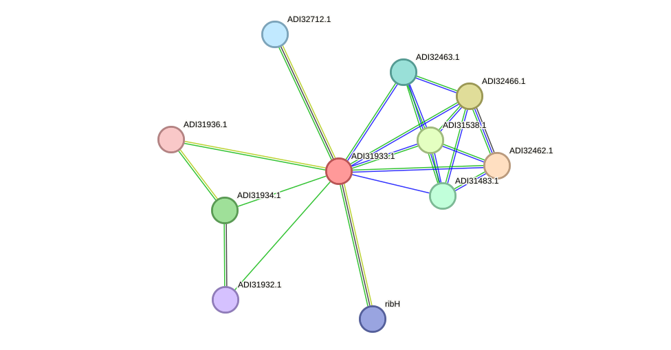 STRING protein interaction network