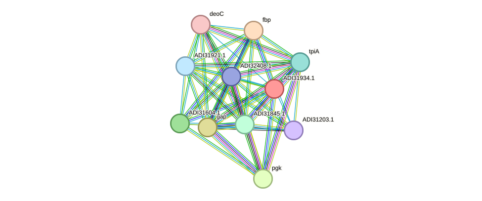 STRING protein interaction network
