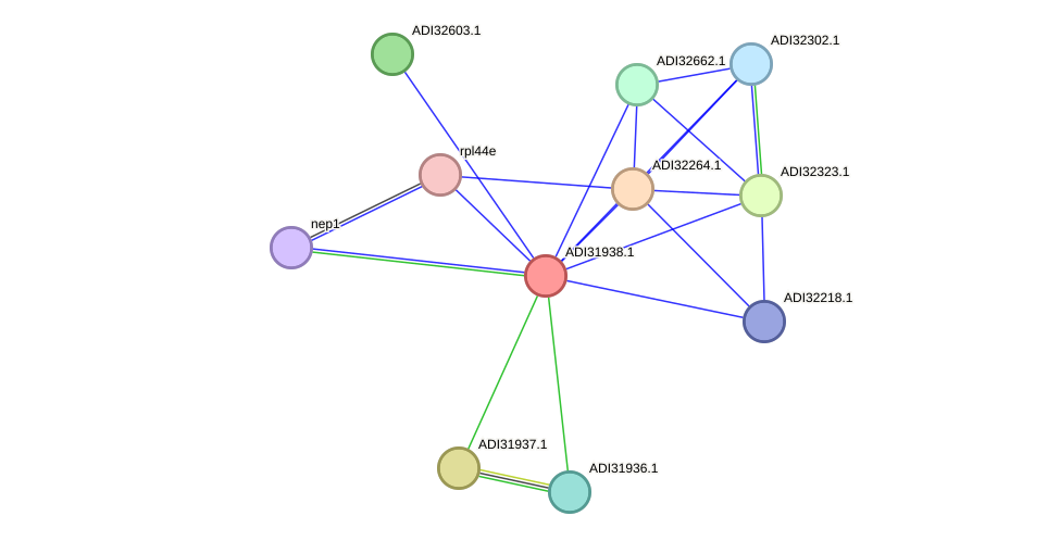 STRING protein interaction network