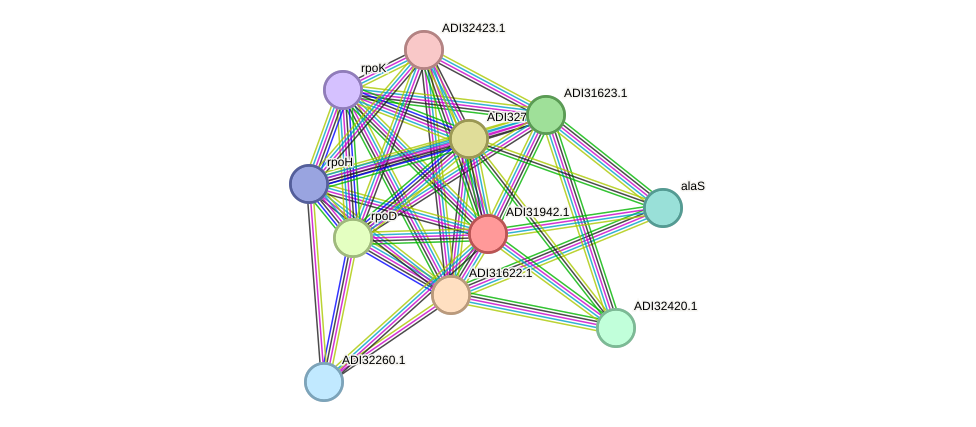 STRING protein interaction network