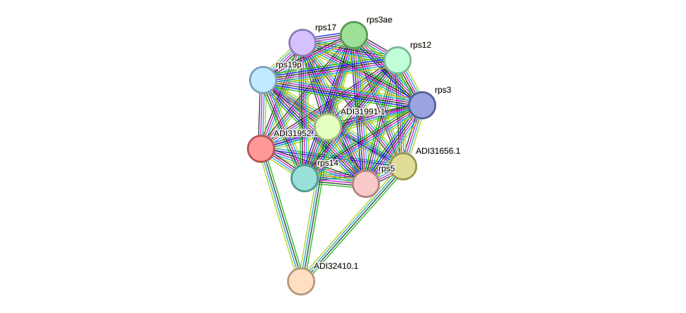 STRING protein interaction network