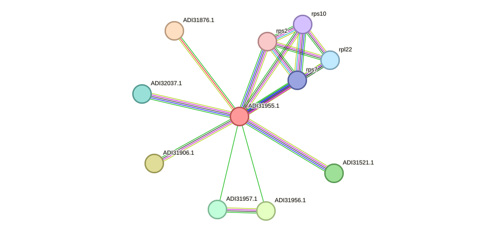 STRING protein interaction network