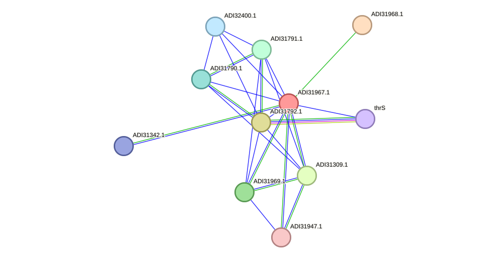 STRING protein interaction network