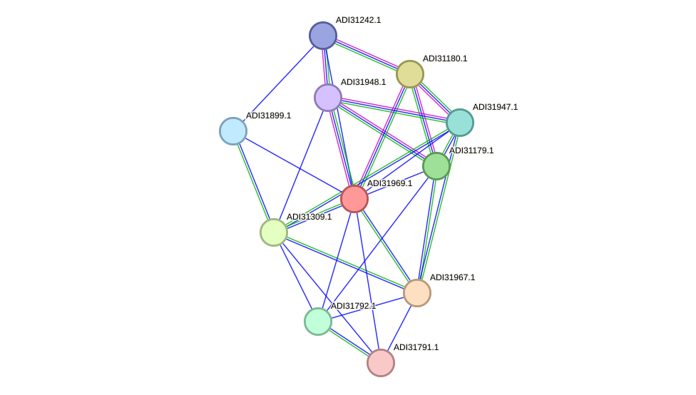 STRING protein interaction network