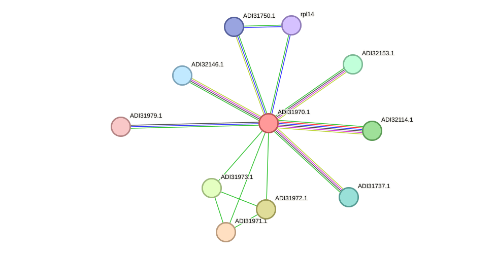 STRING protein interaction network