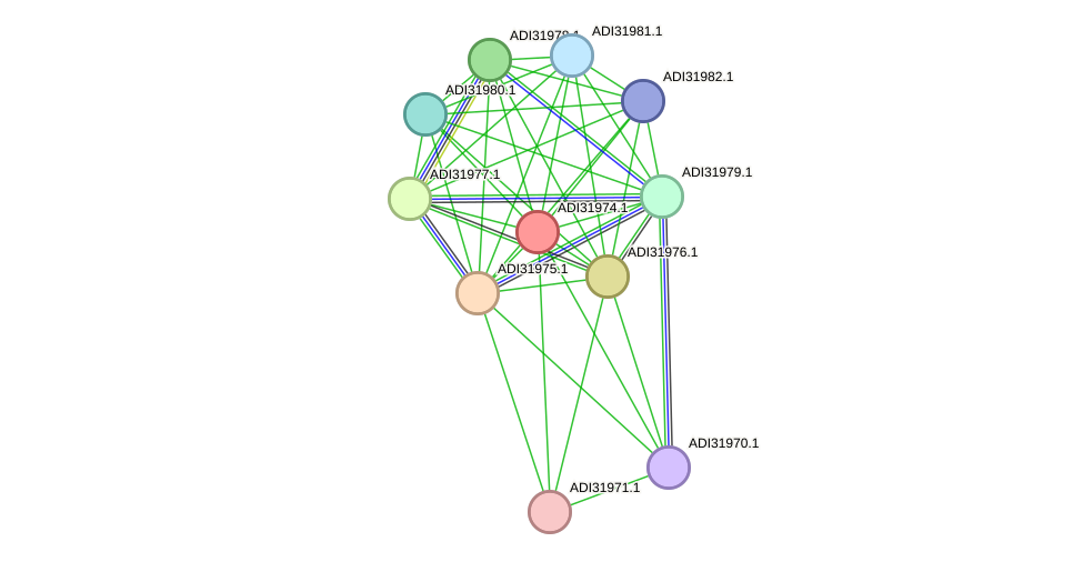 STRING protein interaction network