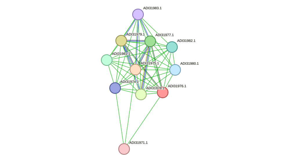 STRING protein interaction network