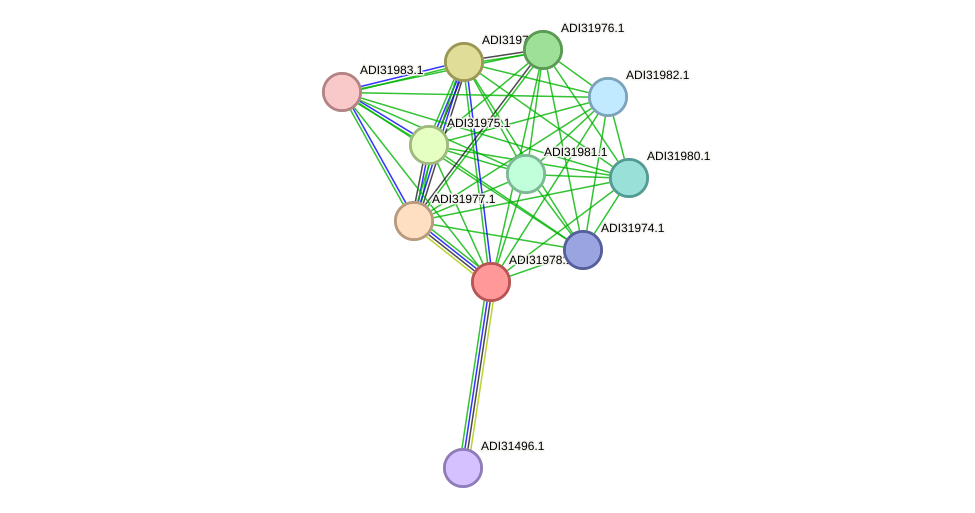STRING protein interaction network
