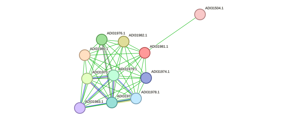 STRING protein interaction network