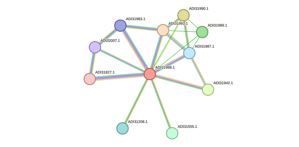 STRING protein interaction network