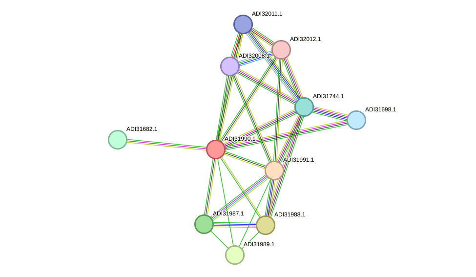STRING protein interaction network