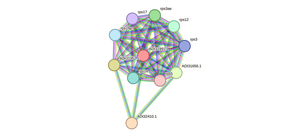 STRING protein interaction network