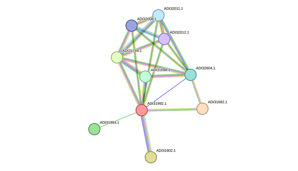 STRING protein interaction network