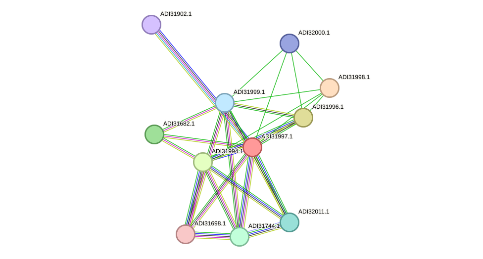 STRING protein interaction network
