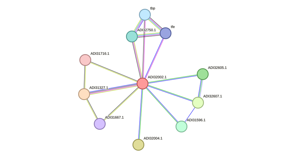 STRING protein interaction network