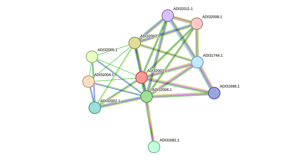 STRING protein interaction network