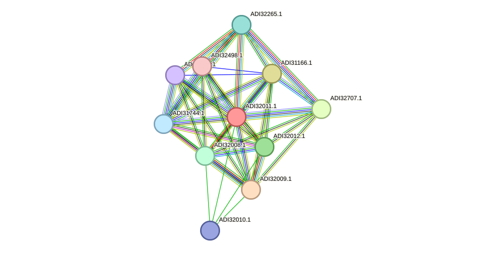 STRING protein interaction network