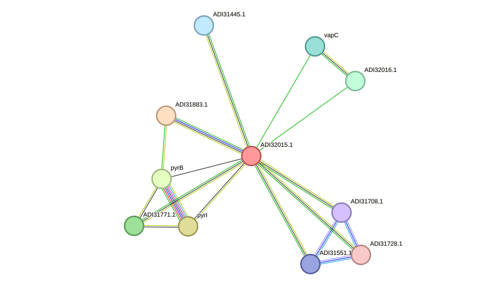 STRING protein interaction network