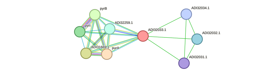 STRING protein interaction network