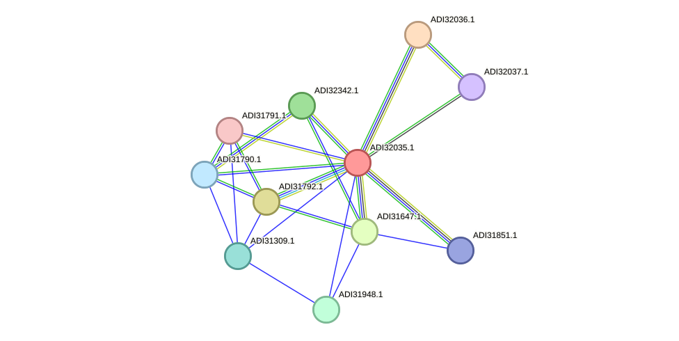 STRING protein interaction network