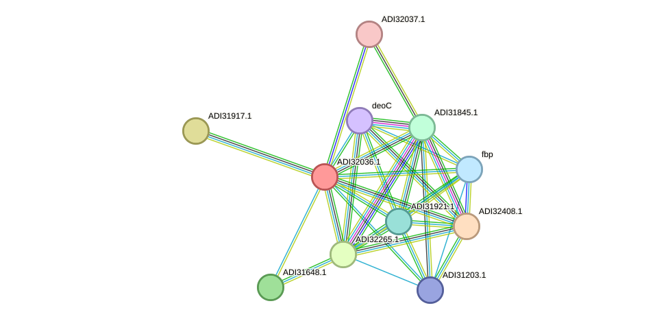 STRING protein interaction network