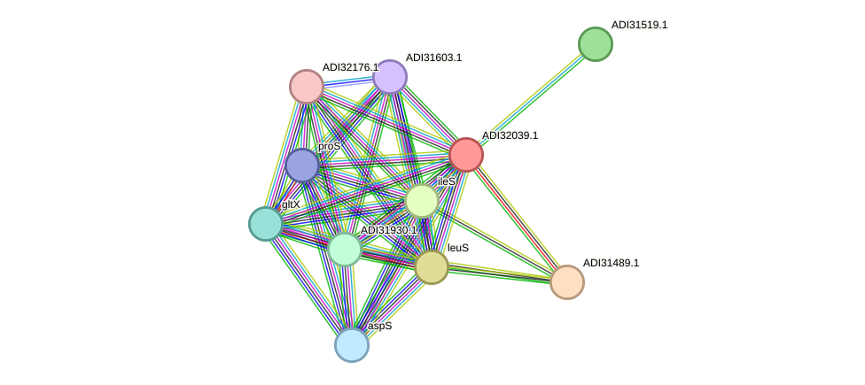 STRING protein interaction network