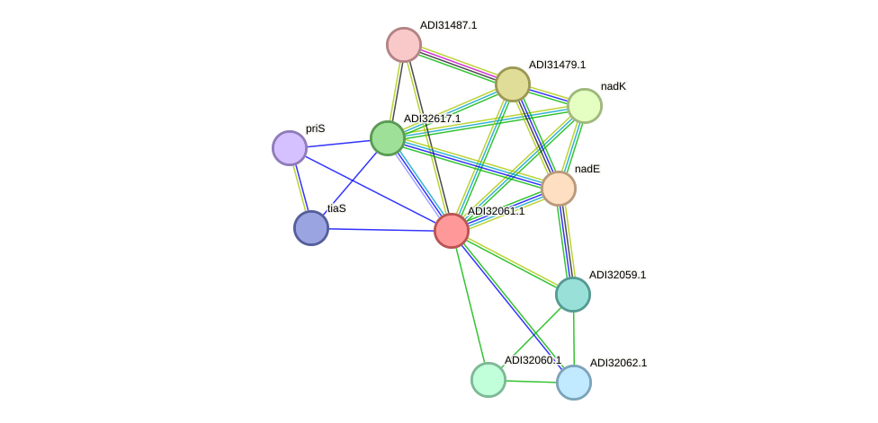 STRING protein interaction network
