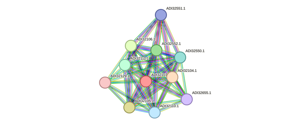 STRING protein interaction network
