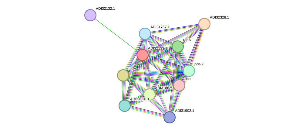 STRING protein interaction network