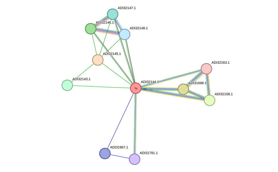 STRING protein interaction network